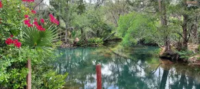 Michele's Spring House - Image 4