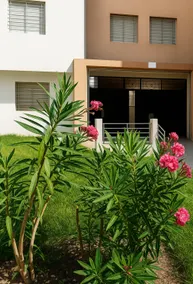 Modern Apartment • Ocean & Forest • WiFi • Airport - Image 5