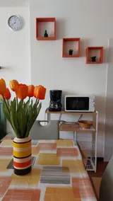 Tulip Studio Biroldi - Image 3