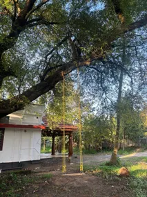 Kochuthottathil Heritage - Image 4