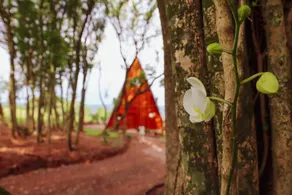 Ouro Verde Cabin - Image 5