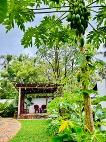 Cozy Stay in thiruvananthapuram - Image 4