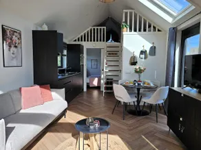 Tiny Zen House in Heinkenszand with private sauna, airco, outdoor swimming pool, WiFi and 2 bedrooms - Image 3