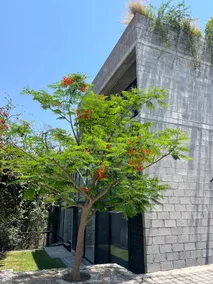 Loft with green areas near downtown. - Image 2