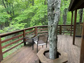 Quiet Mountaintop Cabin! Newland & Spruce Pine - Image 5