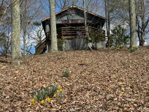 Quiet Mountaintop Cabin! Newland & Spruce Pine - Image 3
