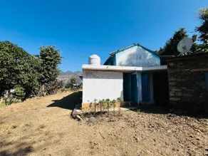 Peepal, Unit of Thatabandonedhouse - Image 5