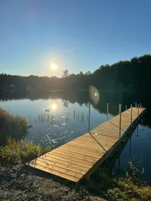 The Evergreen - Image 5