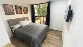 Apartment near Roma and the Siglo XXI Hospital - Image 4