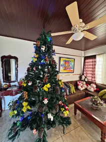 House towards Los Molinos - Image 3