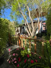 Puembo Bella Stella Suite - Image 2
