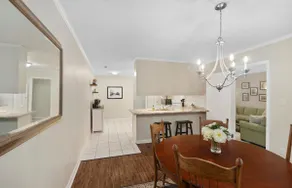 Daniel Digs - 3/2 - Comfy, Central, & Convenient - Image 5