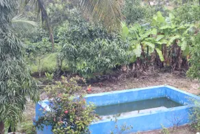 Coorg Stream Side Homestay - Image 3