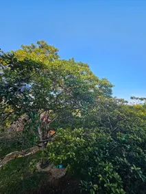 Family Loft on the Puuc Mucuyche Route - Image 5