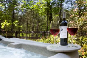 Relaxing Modern Cabin, View, HotTub & Pet Friendly - Image 2