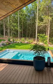 Luxury Retreat-Heated Pool, Sauna, HotTub&C Plunge - Image 4