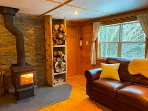 Cozy Waterford Cabin with Hot Tub & Forest Views - Image 2