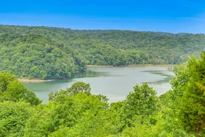 Dale Hollow Cottage w/ Covered Porch & Lake Views! - Image 5