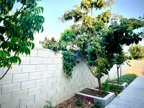 Entire/Cozy/Quite back unit in LA w/self checkin - Image 2