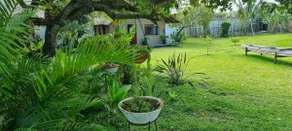 Maria Caju Suite - Image 5