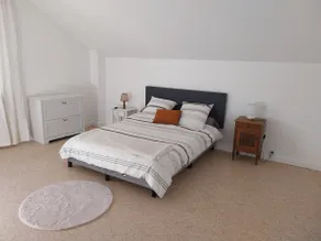 Large bright apartment on 2 floors - Image 5