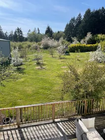 Guest suite in Cowichan Valley, BC - Image 4