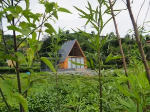 Dere Bungalow Suite 2+1 - Image 5