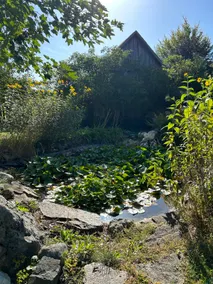 Hotel Aquamarin - Image 3