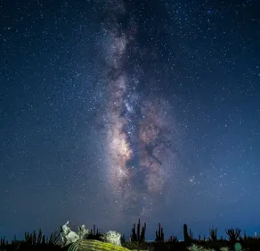 Quiet Retreat, Pool, Epic View, Starlink, Eco - Image 5