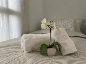 The Dressmaker’s apartment - Image 4