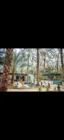 The Enchanted Villa. In the Heart of the Palm Grove - Image 2