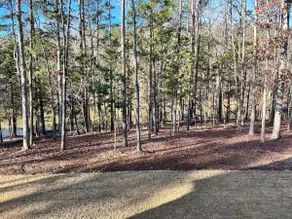 The Loblolly Pine Room - Image 2