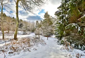 Windham Cabin Escape (3BR) - Image 4