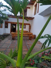 “Las Yucas” Estate - Image 5
