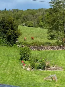 Gite Charette, near Puy du Fou - Image 4