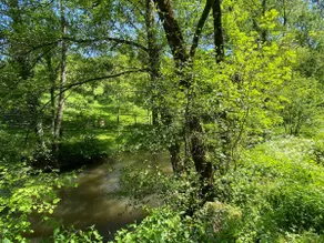 Gite Charette, near Puy du Fou - Image 5