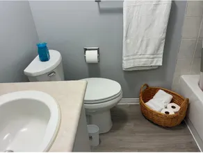 2 Bedroom Lower Level Apartment in Brantford - Image 4