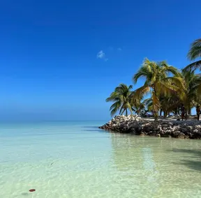 Spacious Holbox Getaway • 30m to the Sand & Sea - Image 4