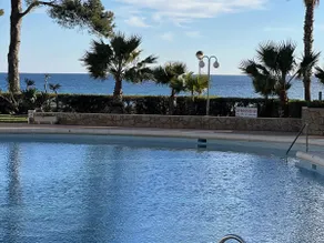 Homing Loft Cambrils 168 - Image 3