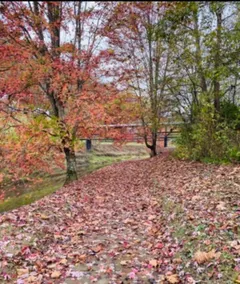 Luxury Creekside Cottage - Image 4