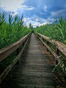 Alla Posta Nature Reserve | Relaxation & Garden - Image 2