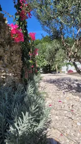 Villa Pero & Jele - Image 4