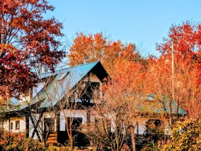 [15% off for consecutive nights] Private log house with wood-burning stove and BBQ deck | Maximum 8 people | 10 minutes by car from Metasekoya - Image 2