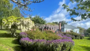 Maple Hill Cottage - Image 3
