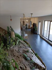 Experience the Mountain - Image 4