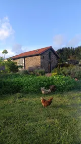 Casita Rural Kukui Surf & Yoga - Image 2