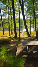 Updated Cozy Lakefront Cabin On Private Lake - Image 3