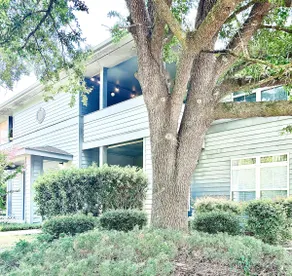 The Condo - Image 3