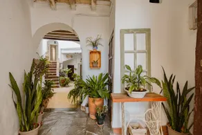 Casa Bodega Triana - Image 5