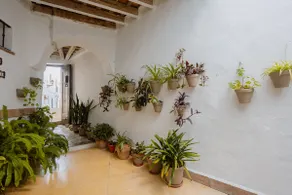 Casa Bodega Triana - Image 2